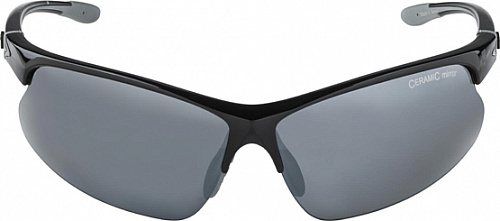 очки солнцезащитные ALPINA DRIBS 3.0